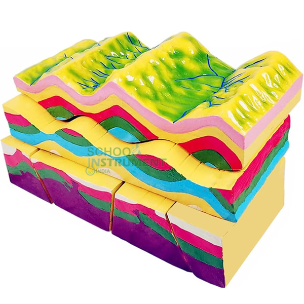 Fault Folding Demo